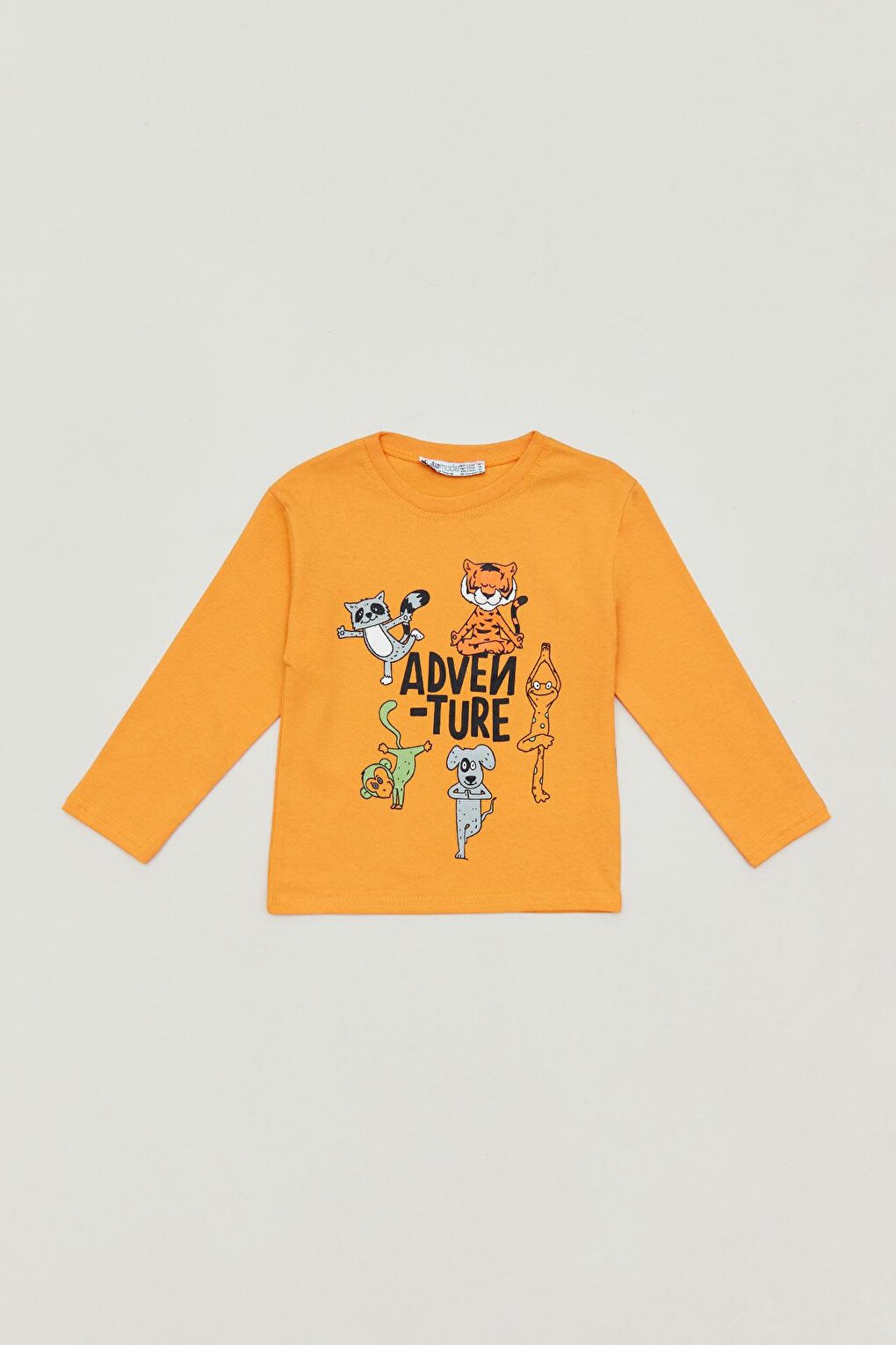 Printed Crew Neck Boy's Bodysuit