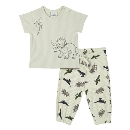 Adventure of Dinosaurs Short Sleeve Baby Set