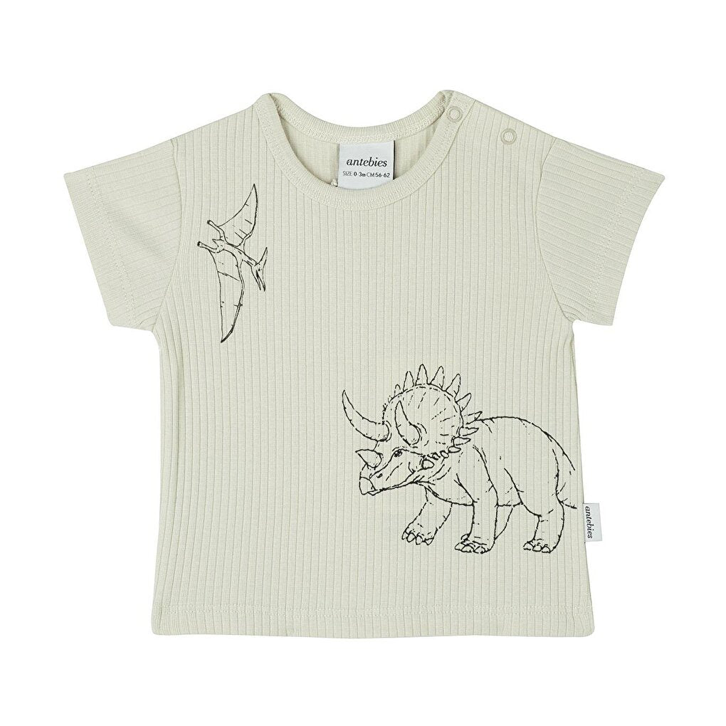 Adventure of Dinosaurs Short Sleeve Baby Set