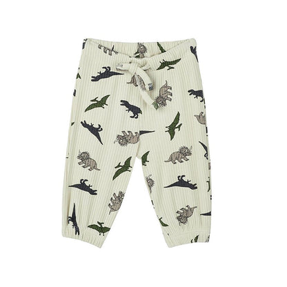 Adventure of Dinosaurs Short Sleeve Baby Set