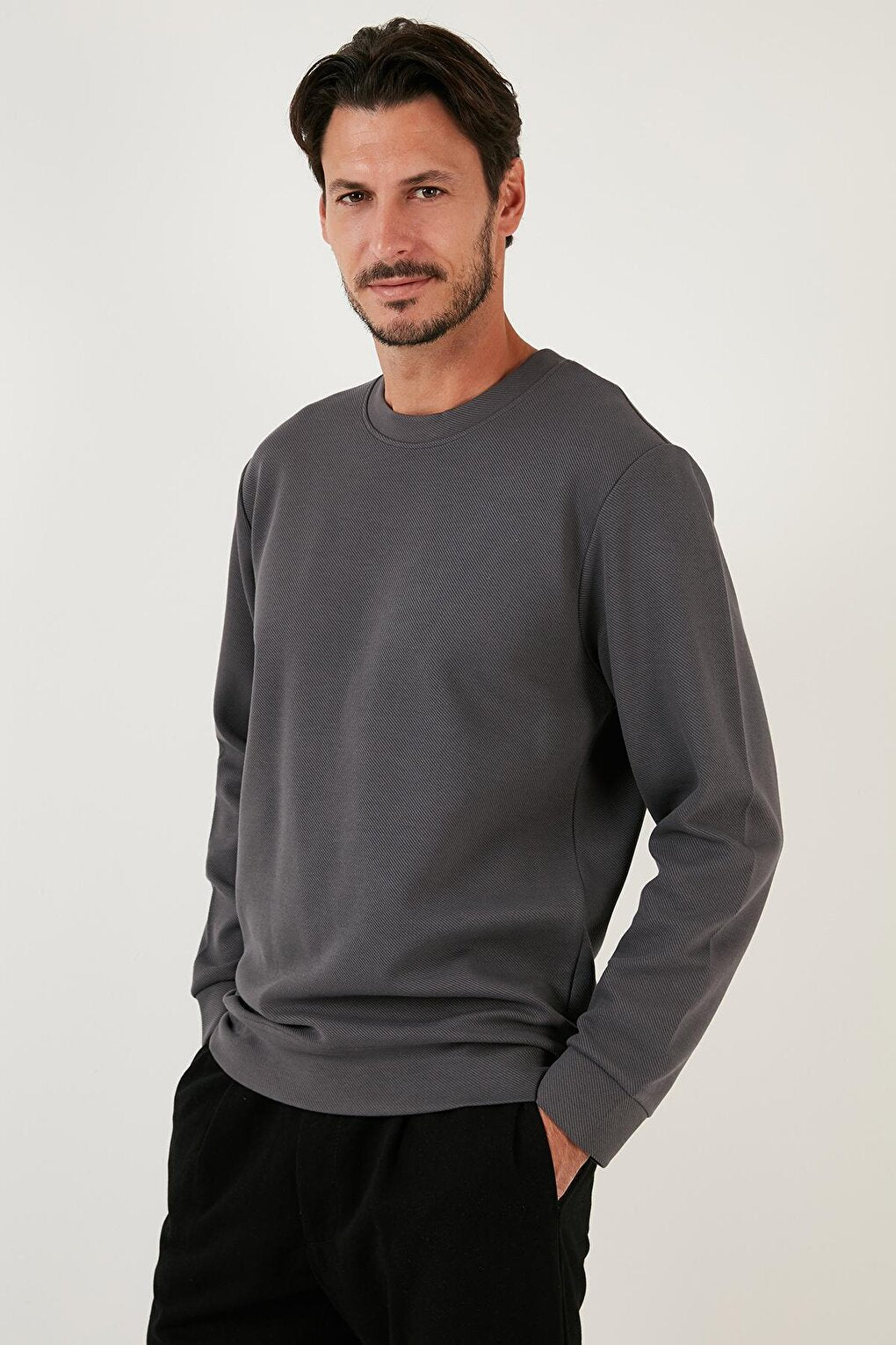 Cotton Crew Neck Regular Fit Basic Sweat 5905521