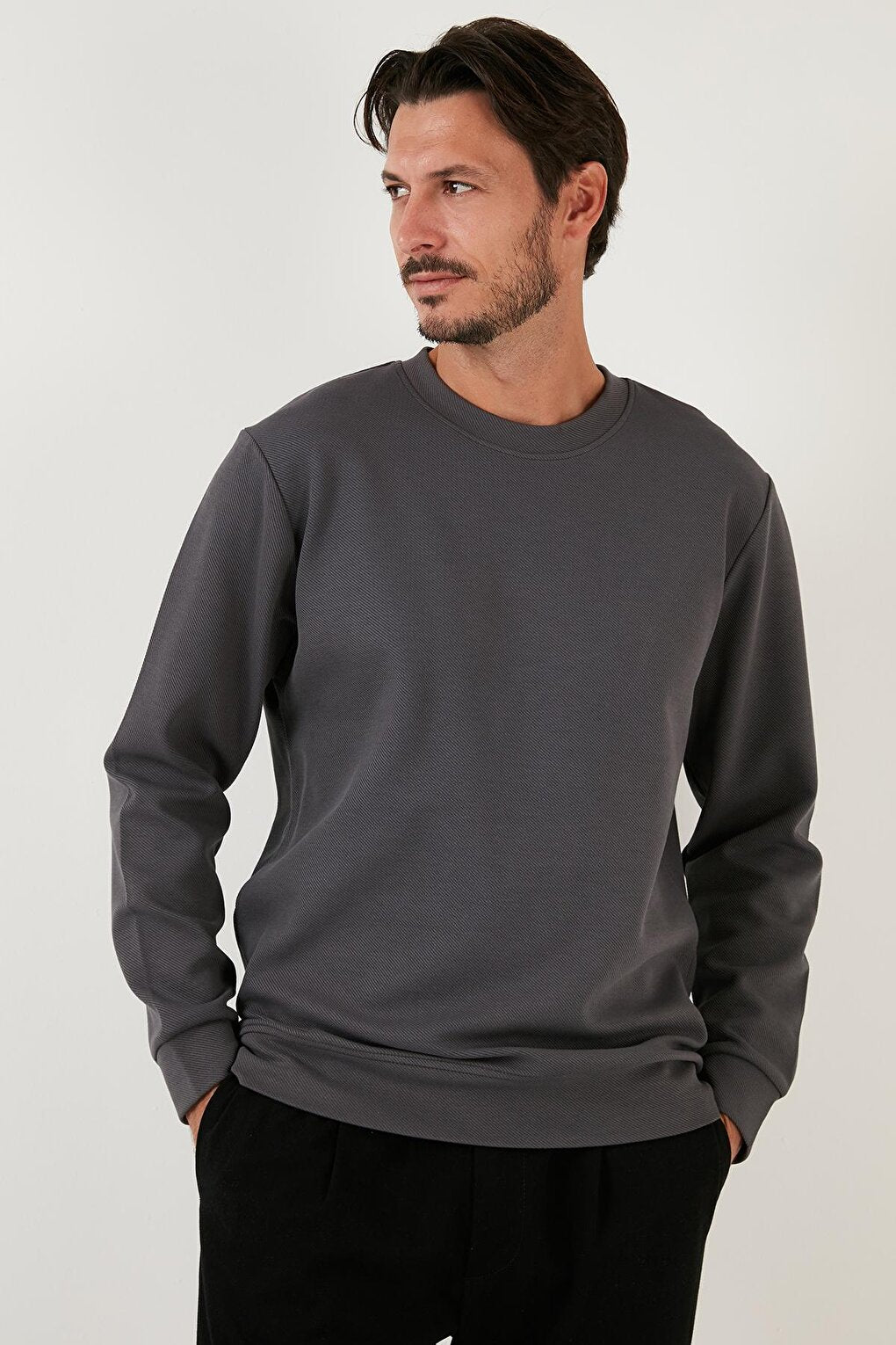 Cotton Crew Neck Regular Fit Basic Sweat 5905521