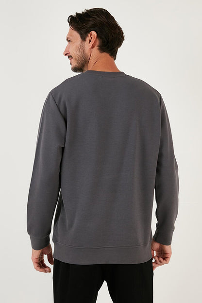 Cotton Crew Neck Regular Fit Basic Sweat 5905521