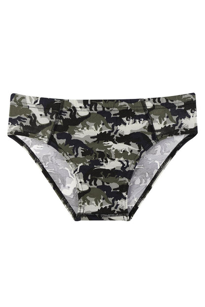 Boy's Panties 5 Pack