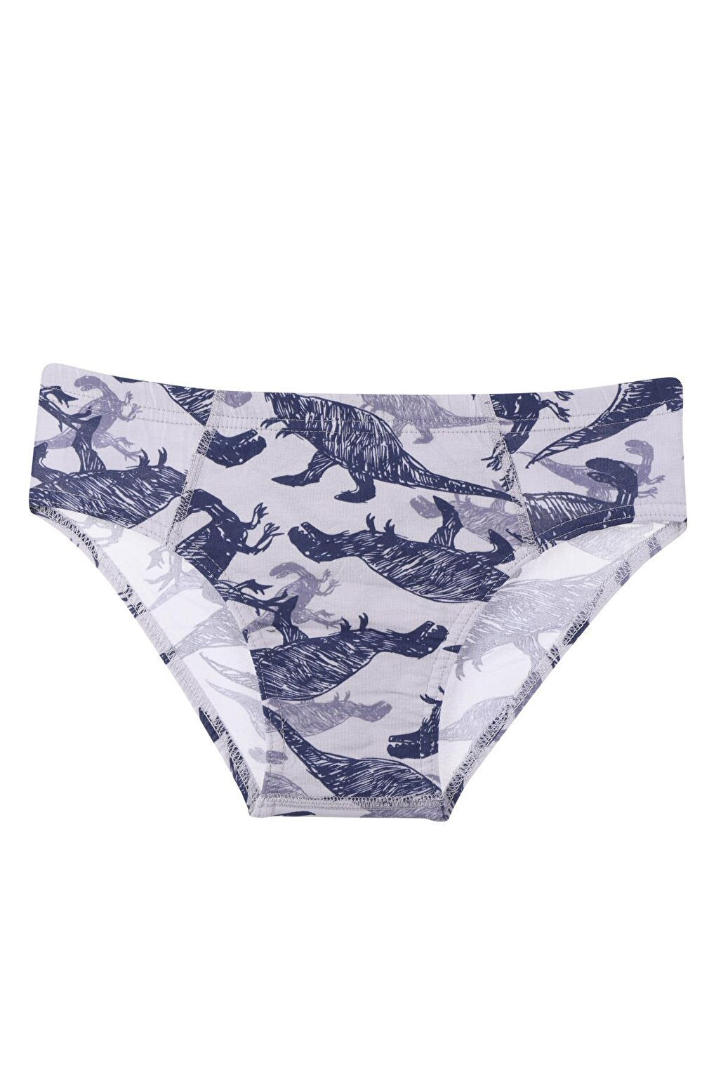 Boy's Panties 5 Pack