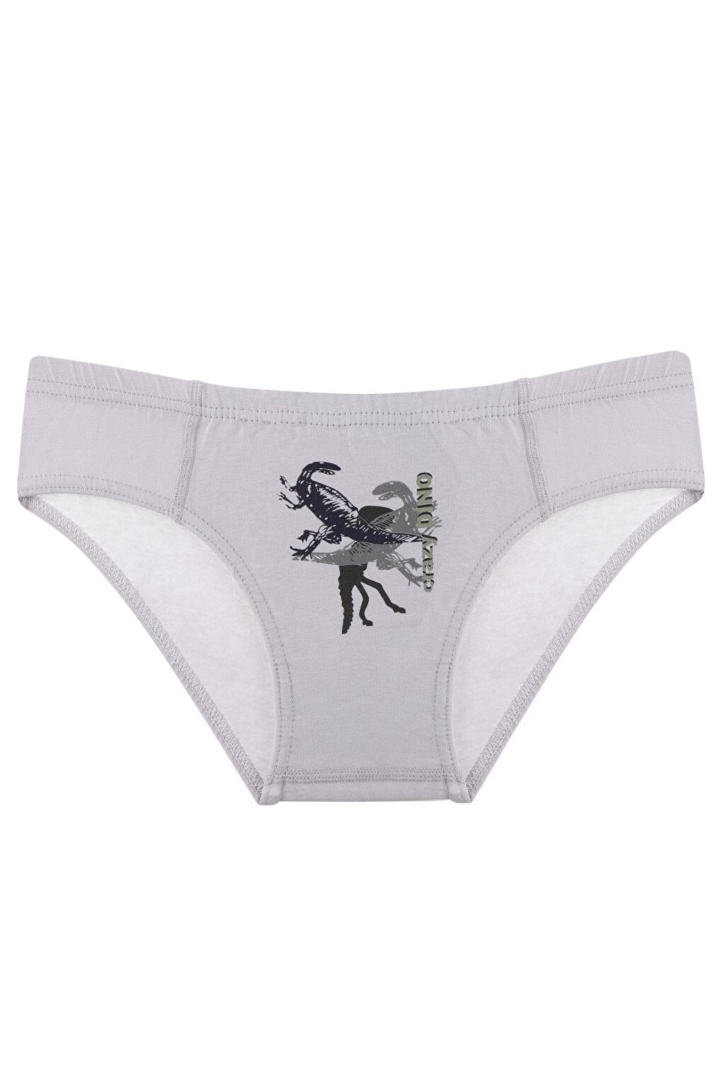 Boy's Panties 5 Pack