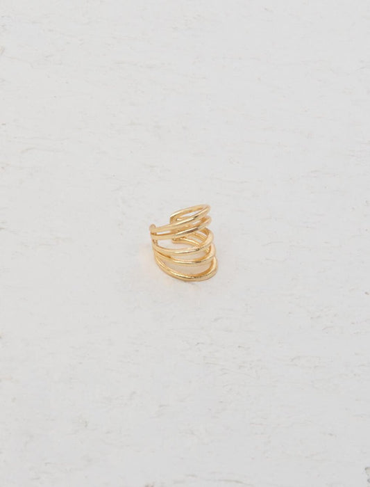 Gold Hoop Model Joint Earring