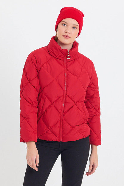 Comfortable Stand-Up Collar Puffer Jacket AD-K50424LNW