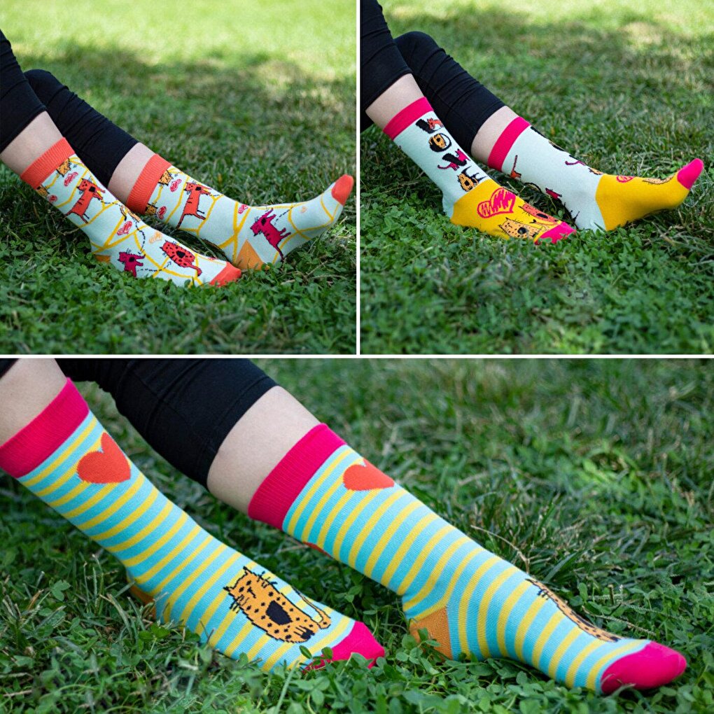 Cats Women's Socks Set