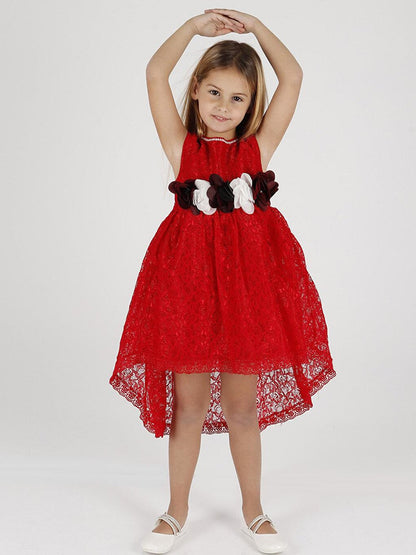 Girl's Tailed Lace Dress Ak2208