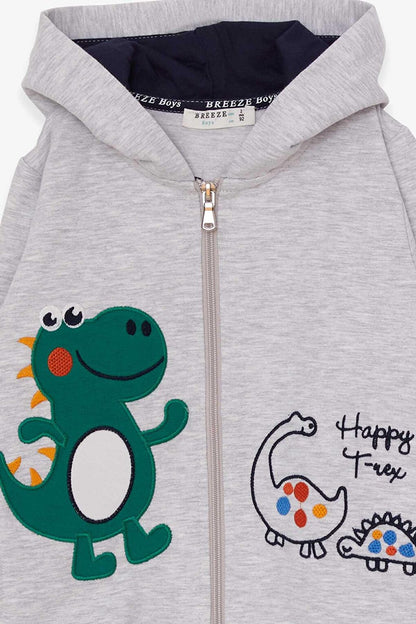 Boy's Tracksuit Set Happy Dinosaur Printed Light Gray Melange (Age 2-3)