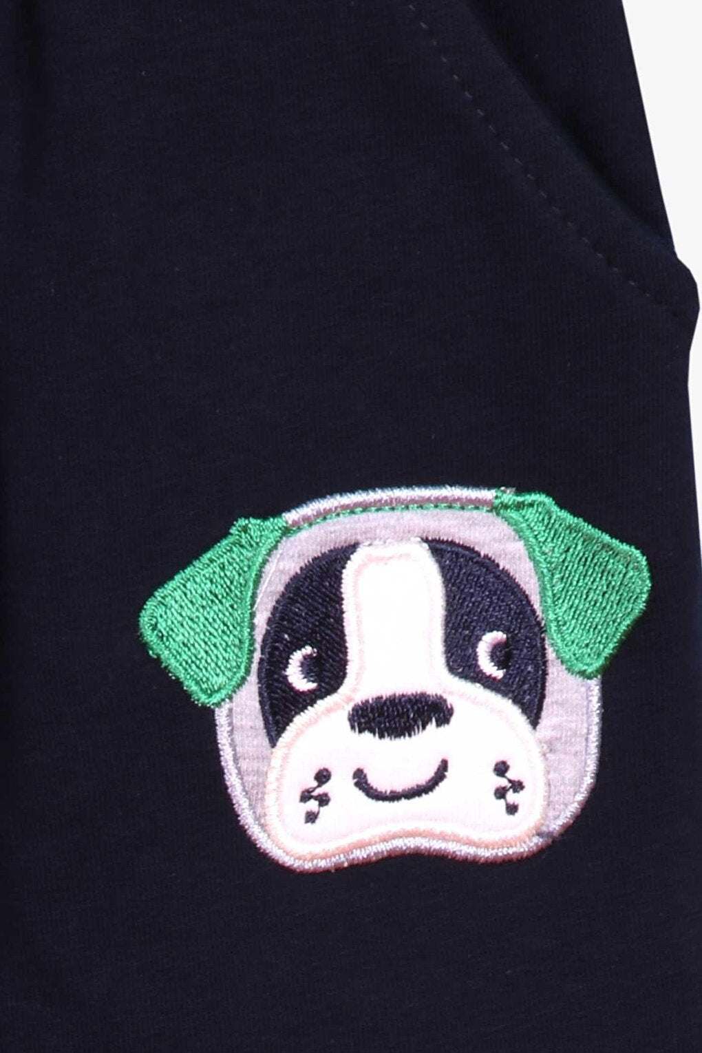 Boy's Tracksuit Set Green with Dog Embroidery (1-3 Years)