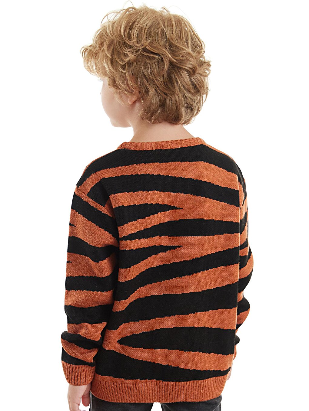 Tiger Boy Brown Sweater