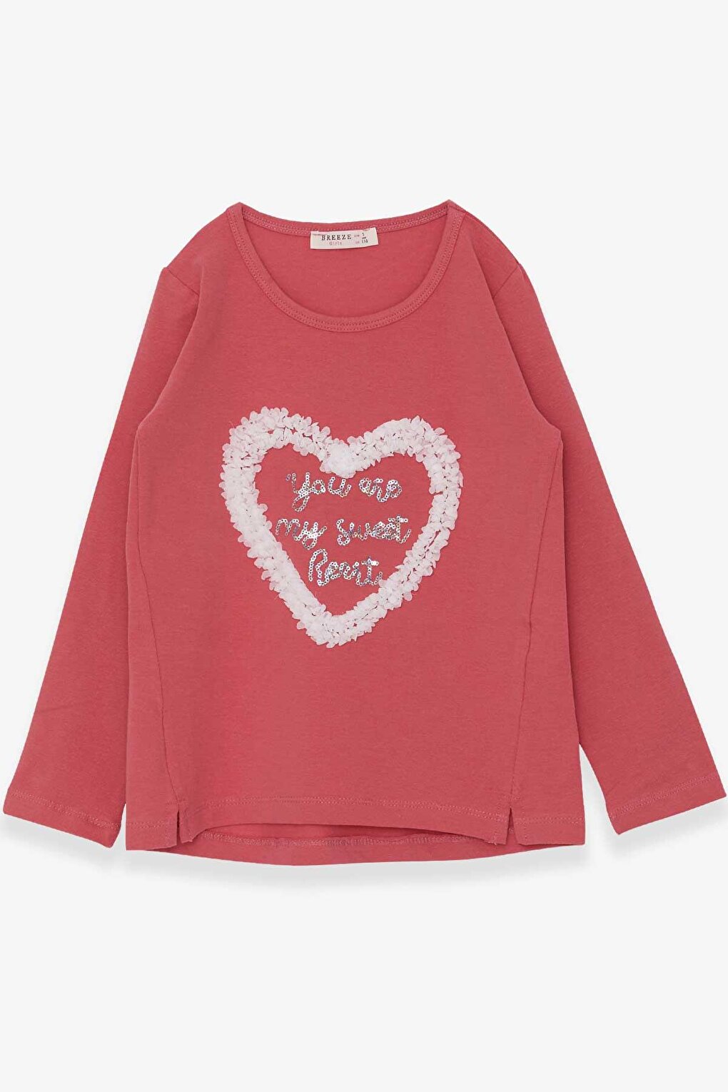 Girl's Long Sleeve T-Shirt Glitter Heart Printed Rose (Age 5-10)