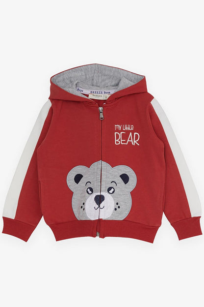 Boy's Tracksuit Set Teddy Bear Printed Tile (Age 1-4)