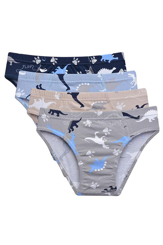 Boy's Panties 5 Pack