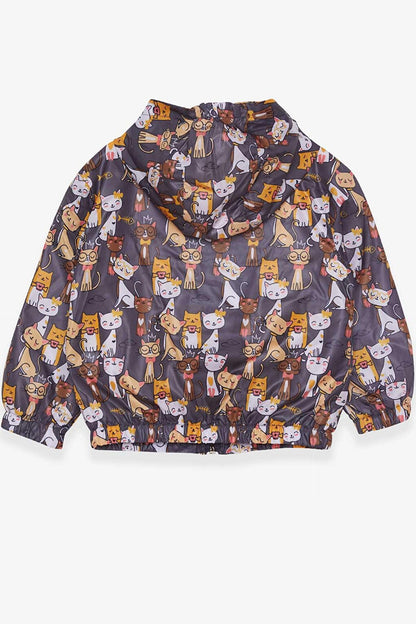 Girl's Raincoat Kitten Patterned Smoked (Age 1-3)