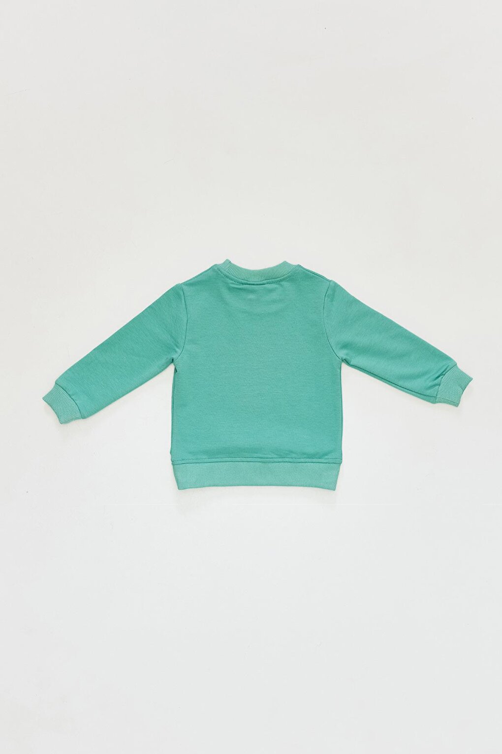 Printed Crew Neck Baby Boy Sweatshirt