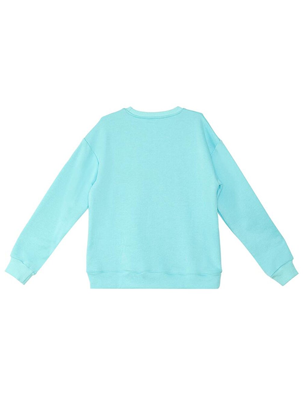 Unicorn Girl's Mint Sweatshirt