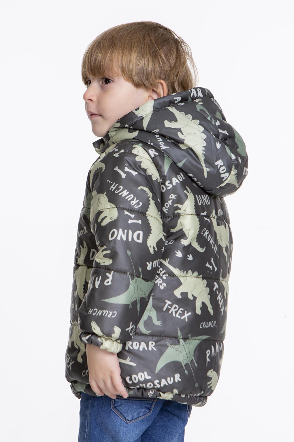 Kids Boy's Coat with Welsoft Inside Dinosaur Patterned Hat AK2509