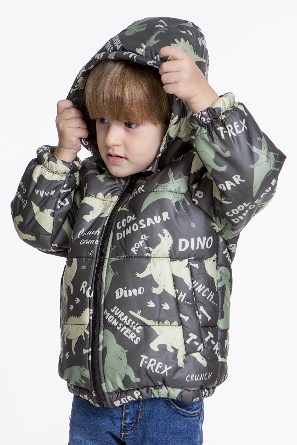 Kids Boy's Coat with Welsoft Inside Dinosaur Patterned Hat AK2509