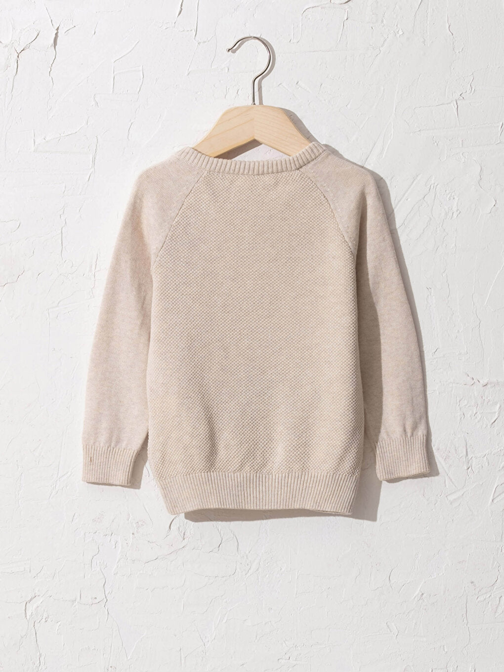 Baby Boy Basic Knitwear Sweater