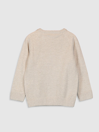 Baby Boy Basic Knitwear Sweater