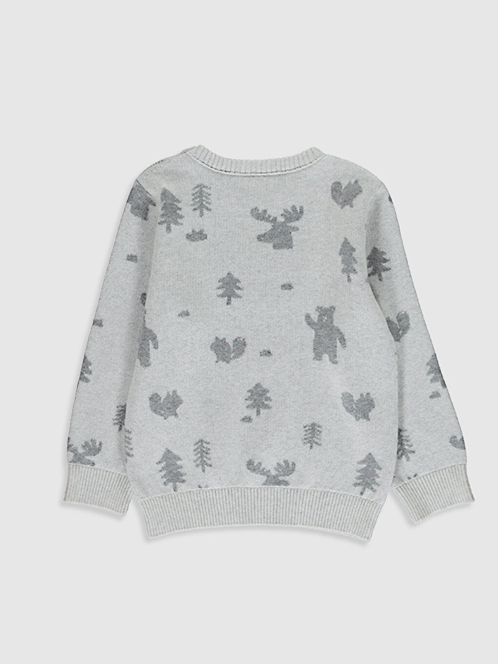 Baby Boy Printed Knitwear Sweater