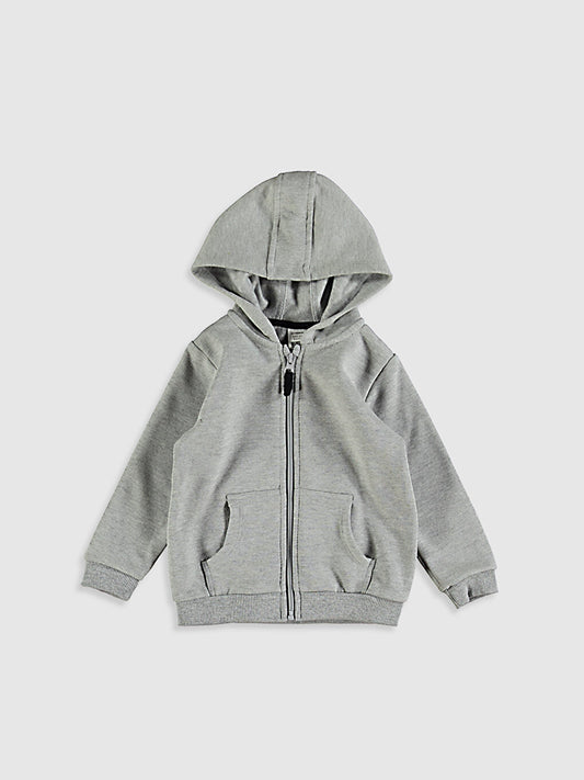 Baby Boy Hooded Zipper Sweatshirt