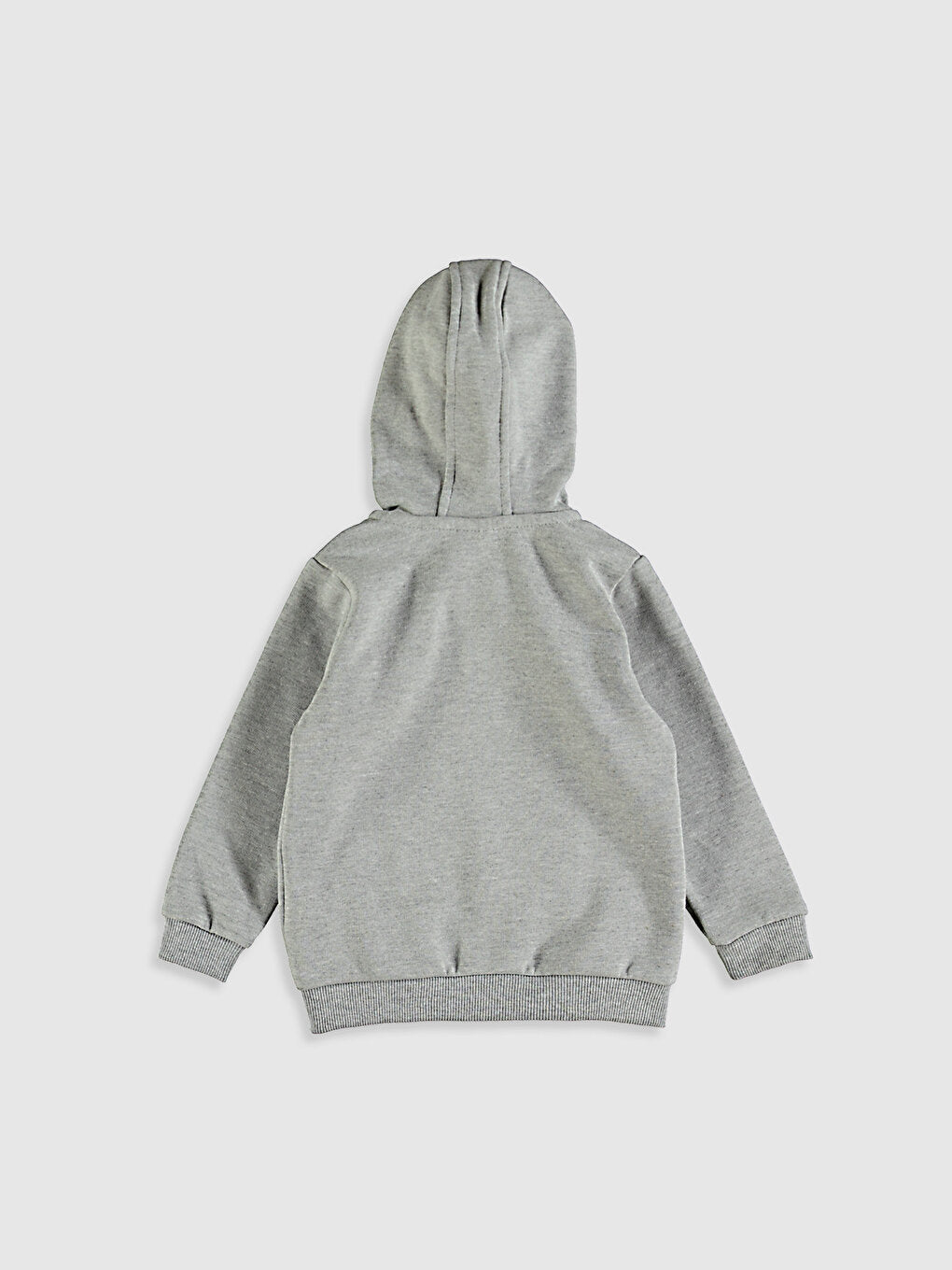 Baby Boy Hooded Zipper Sweatshirt