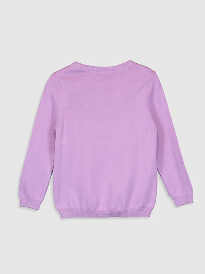 Crew Neck Long Sleeve Girl's Sweater