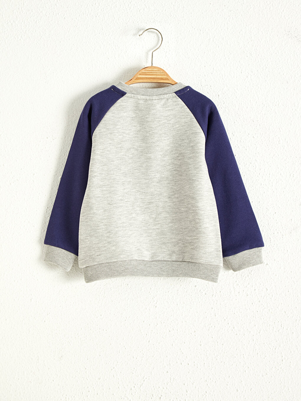 Baby Boy Sweatshirt