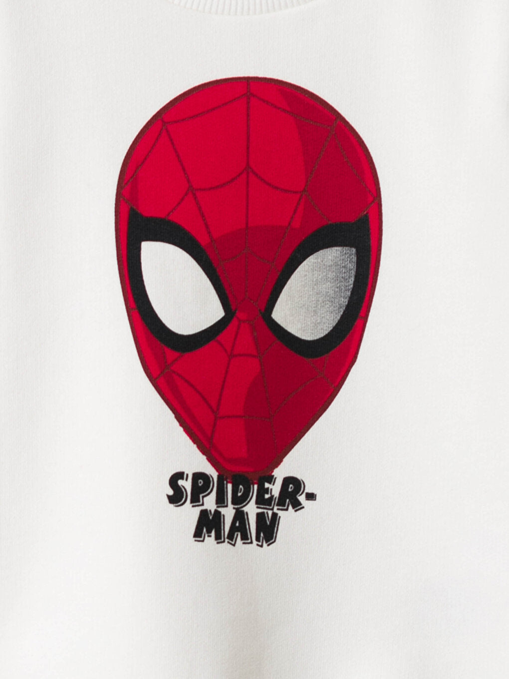 Baby Boy Spiderman Printed Sweatshirt