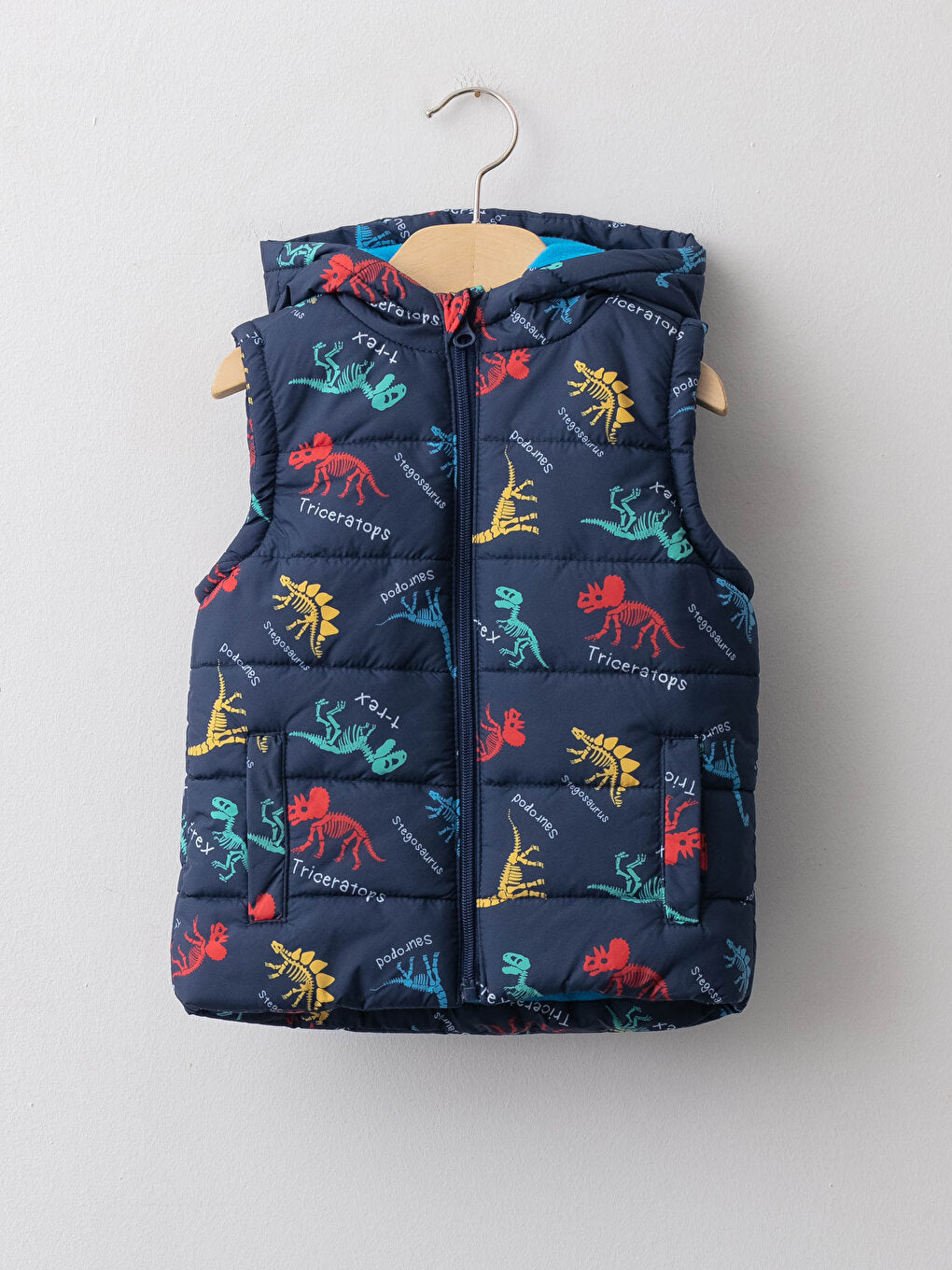 Hooded Printed Baby Boy Zipper Vest