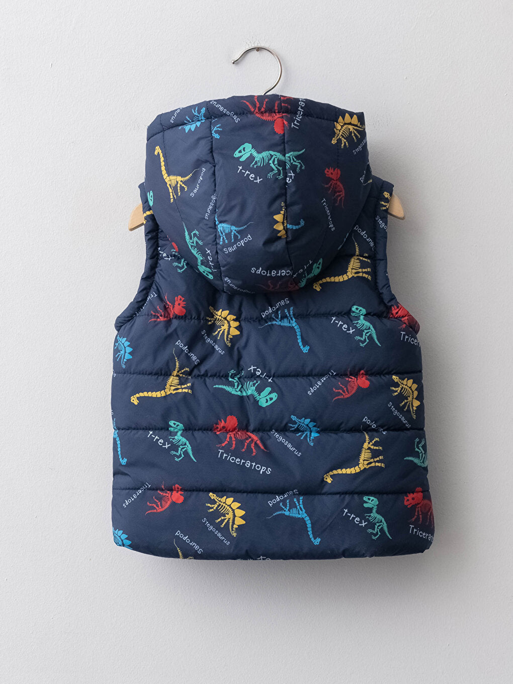 Hooded Printed Baby Boy Zipper Vest