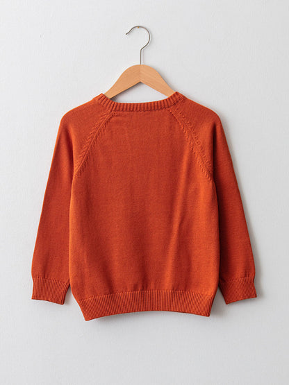 Crew Neck Basic Long Sleeve Boy's Thin Knitwear Sweater