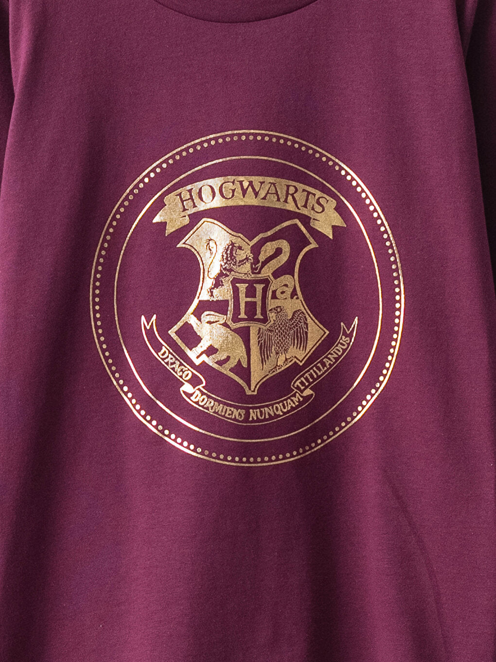 Crew Neck Harry Potter Printed Long Sleeve Cotton Girls' T-Shirt