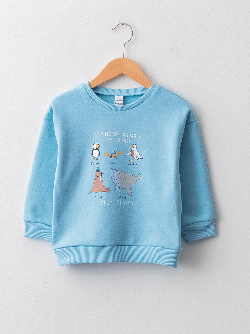 Crew Neck Long Sleeve Printed Baby Boy Sweatshirt