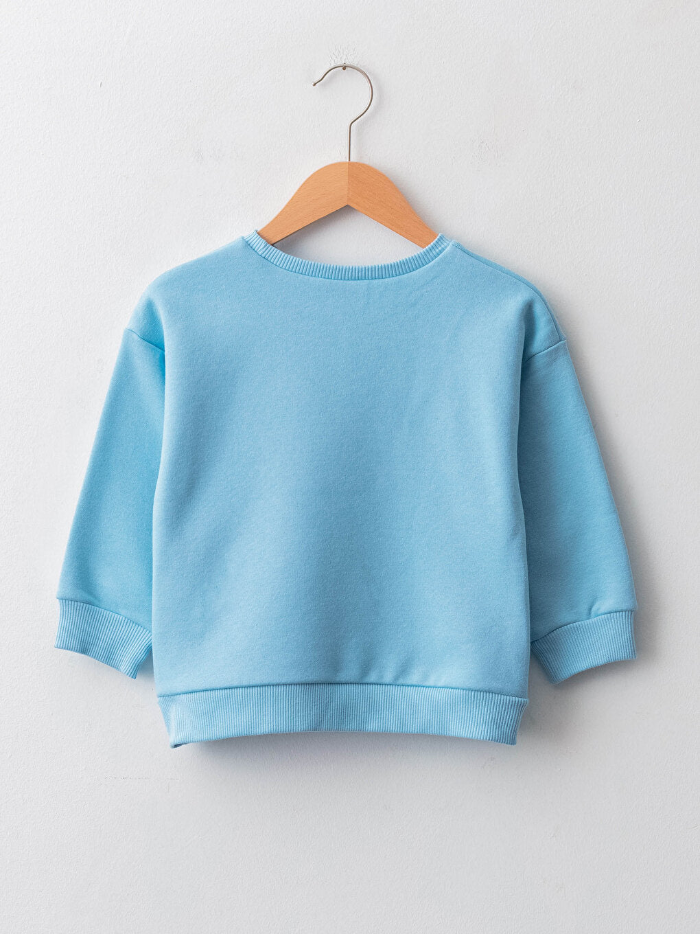 Crew Neck Long Sleeve Printed Baby Boy Sweatshirt