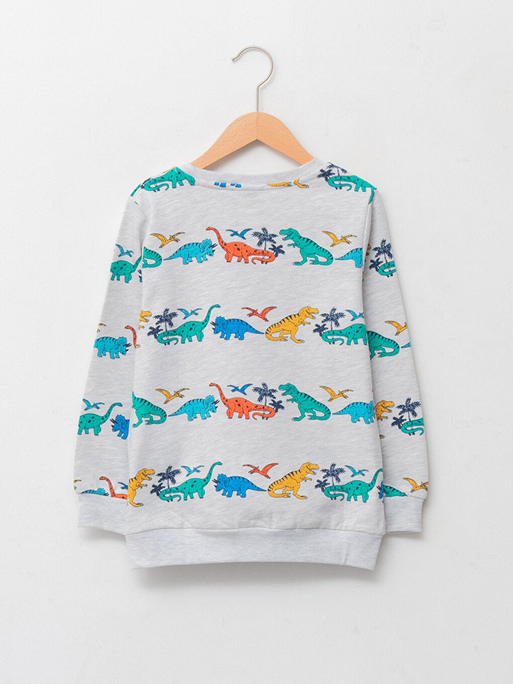 Crew Neck Printed Long Sleeve Boy's Sweatshirt