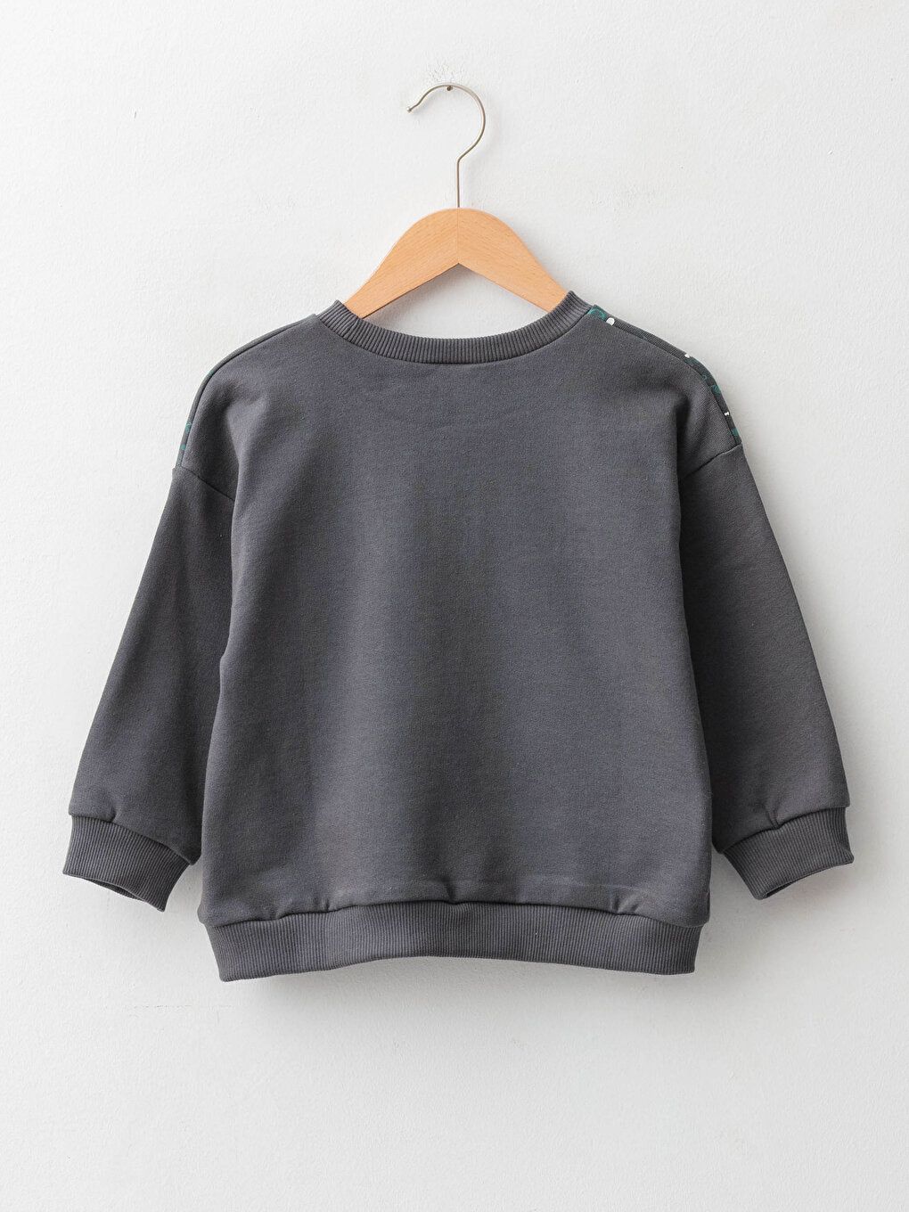 Crew Neck Long Sleeve Printed Baby Boy Sweatshirt