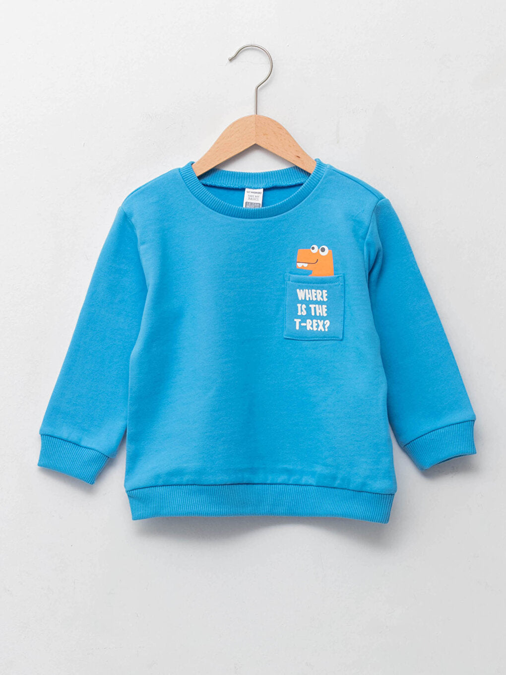 Crew Neck Long Sleeve Baby Boy Sweatshirt