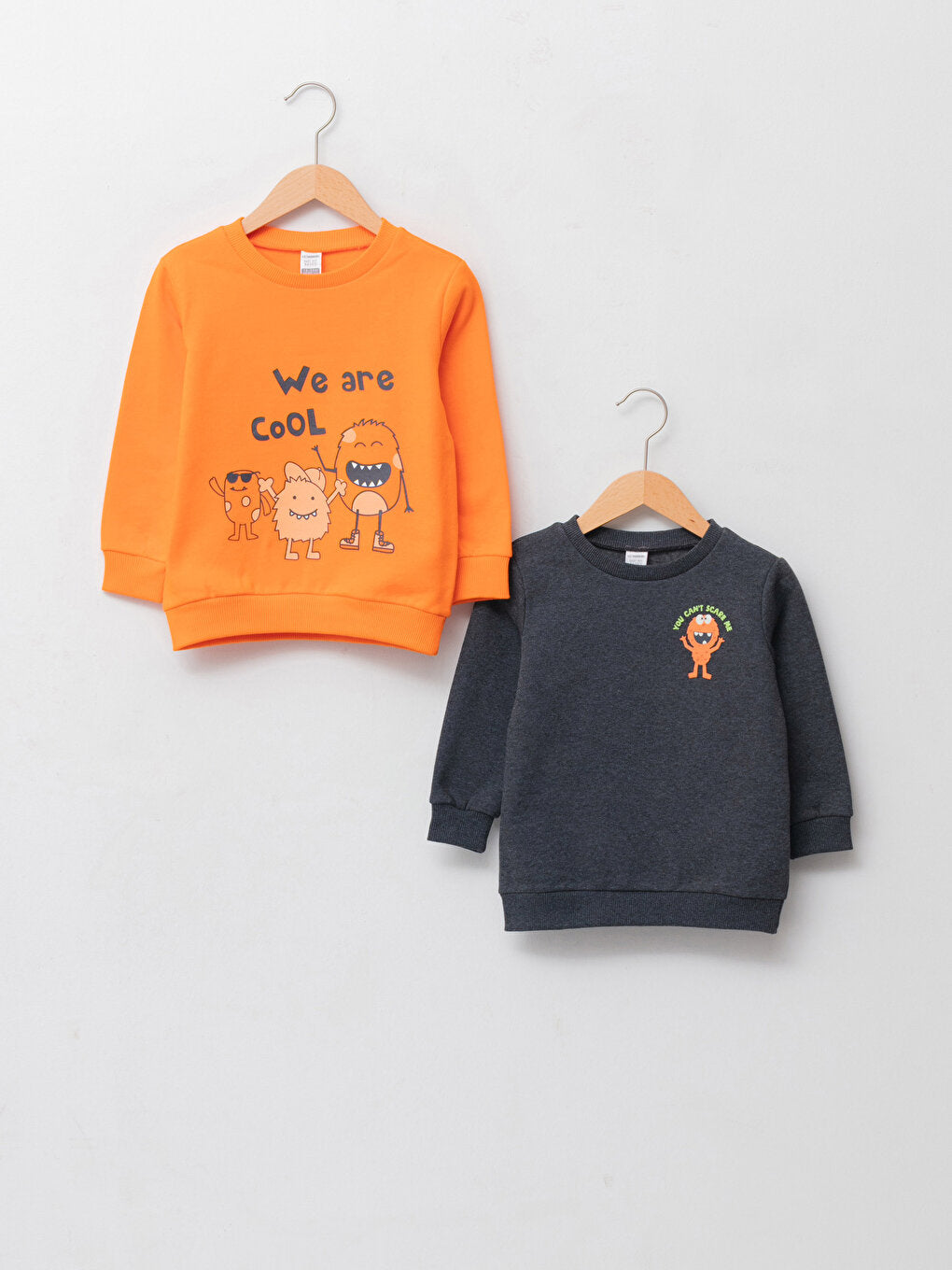 Crew Neck Long Sleeve Printed Baby Boy Sweatshirt Pack of 2