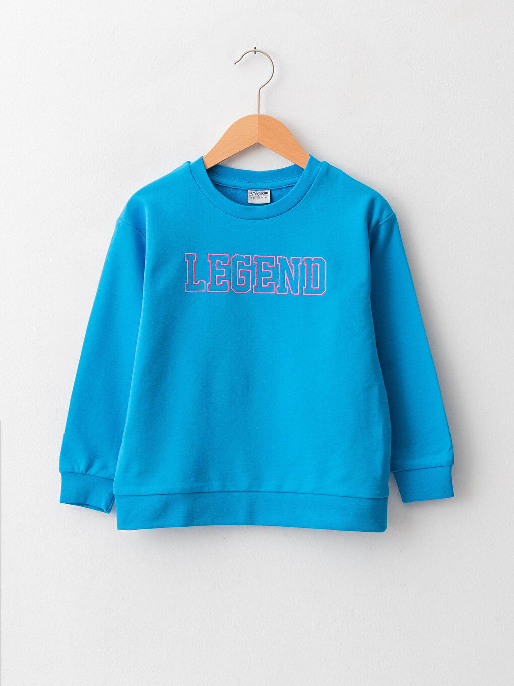 Crew Neck Embroidery Detailed Long Sleeve Boy's Sweatshirt