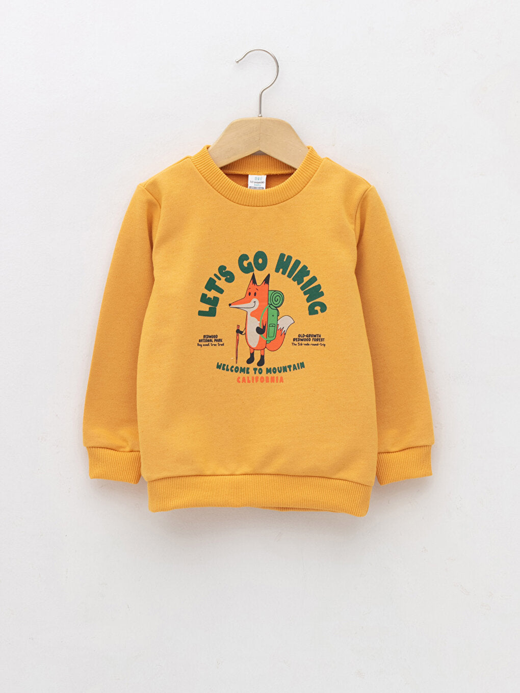 Crew Neck Long Sleeve Printed Baby Boy Sweatshirt