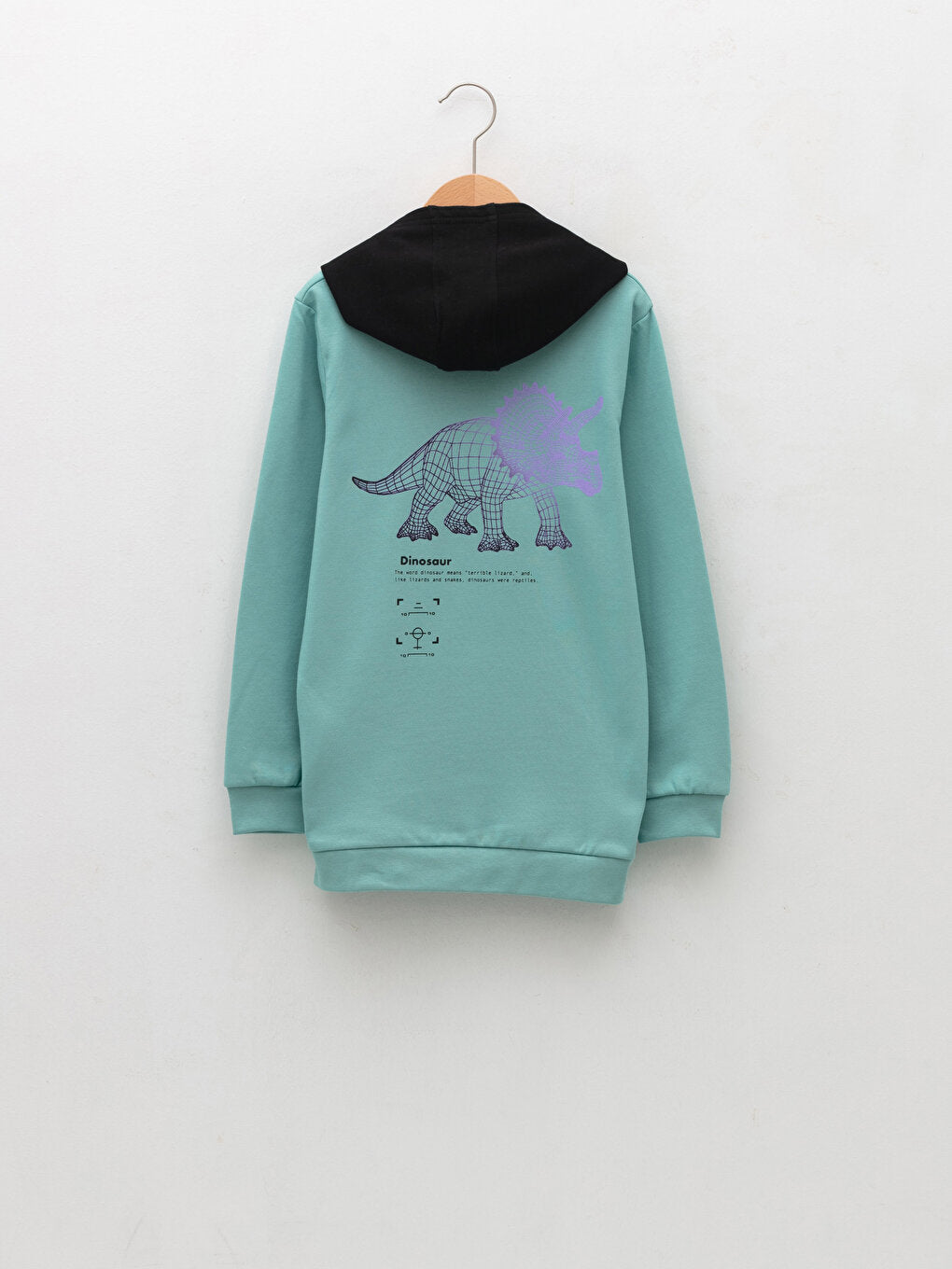 Hooded Printed Long Sleeve Boy's Sweatshirt