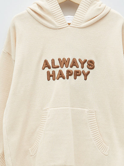 Hooded Long Sleeve Embroidery Detailed Baby Boy Knitwear Sweater