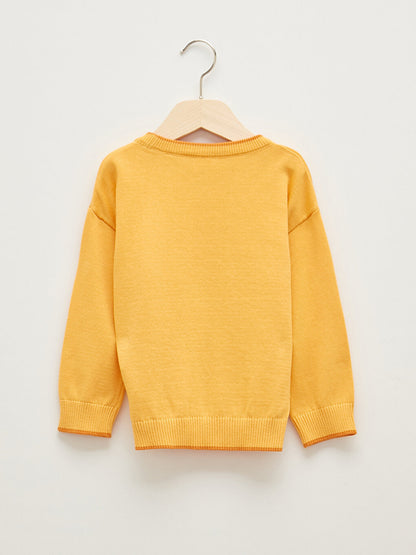 Crew Neck Long Sleeve Basic Baby Boy Knitwear Sweater