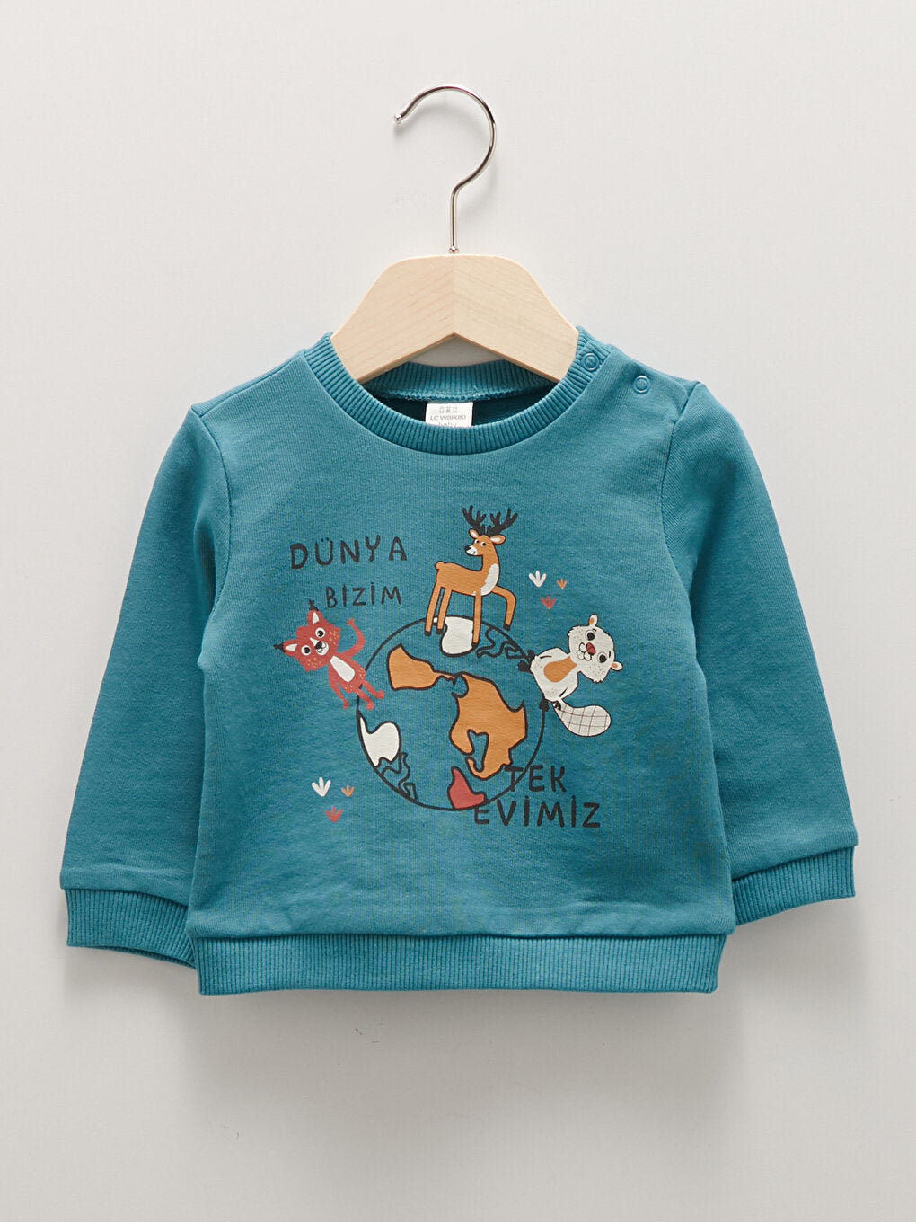 Crew Neck Long Sleeve Extinct Animal Themed Beaver Printed Cotton Baby Boy Sweatshirt 2-pack