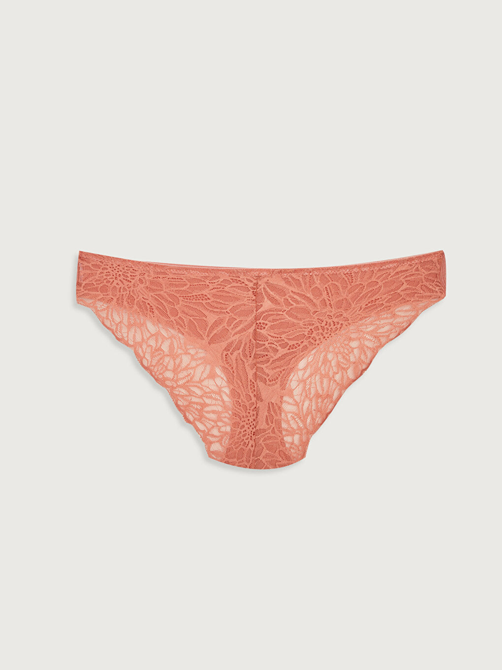 Lace Detailed Bikini Panties